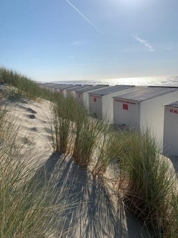 Studio Zeezicht Nieuwpoort Exterior photo